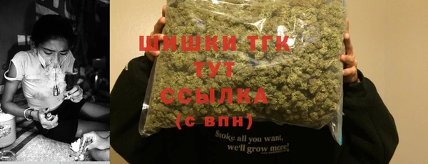 прущие грибы Нея