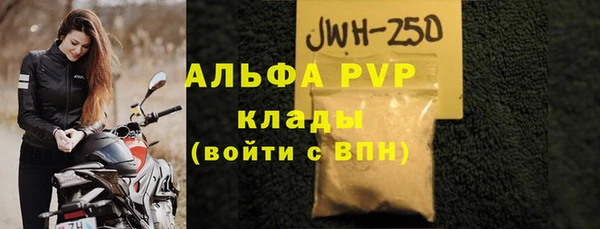 гашик Горняк