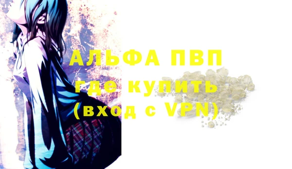 гашик Горняк