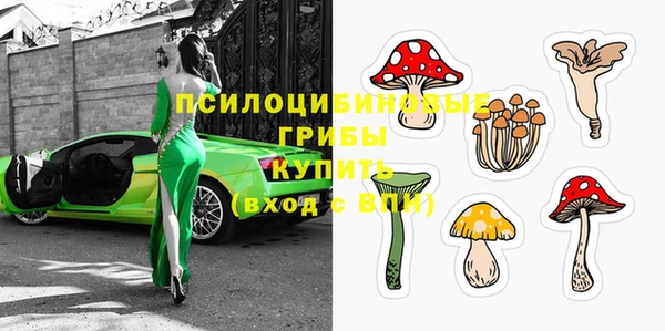 гашик Горняк