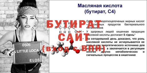 гашик Горняк