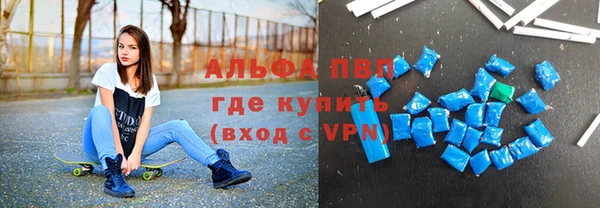 гашик Горняк